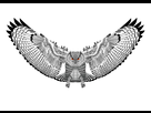 https://image.noelshack.com/fichiers/2014/30/1406245067-owl-design-finish2.jpg