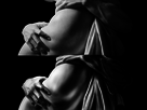 https://image.noelshack.com/fichiers/2014/30/1406419133-le-bernin-study.jpg
