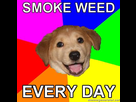 https://image.noelshack.com/fichiers/2014/30/1406462254-advice-dog-smoke-weed-every-day.jpg