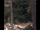 https://image.noelshack.com/fichiers/2014/31/1406505893-1405169355697.gif