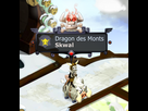 https://image.noelshack.com/fichiers/2014/31/1406723342-skinsram2.png