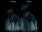 https://image.noelshack.com/fichiers/2014/31/1406942931-asterion-comparaison-aessa.jpg