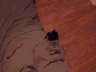 https://image.noelshack.com/fichiers/2014/31/1407071956-apoko4b-460sa-v1.gif