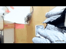 https://image.noelshack.com/fichiers/2014/32/1407145596-ax2eywk-460sa-v1.gif