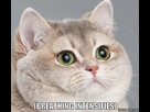 https://image.noelshack.com/fichiers/2014/32/1407155065-8xe-breathing-intensifies.jpg