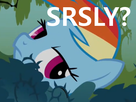https://image.noelshack.com/fichiers/2014/32/1407175240-mlfw656-srsly.png