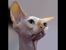 https://image.noelshack.com/fichiers/2014/32/1407259688-sphinx.jpg
