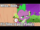 https://image.noelshack.com/fichiers/2014/32/1407349783-it-s-time-to-post-ponies-by-grumbeerkopp-d4ukzm12.png