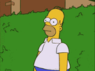 https://image.noelshack.com/fichiers/2014/32/1407358165-homer.gif