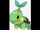https://image.noelshack.com/fichiers/2014/32/1407689143-tortipouss.png