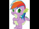 https://image.noelshack.com/fichiers/2014/32/1407692208-spike-is-rainbow-dash-by-kalleflaxx-d4aszzy2.png