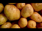 https://image.noelshack.com/fichiers/2014/32/1407699606-realvision-photorealiste.jpg