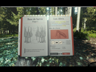 https://image.noelshack.com/fichiers/2014/33/1407841962-theforest-base1.jpg