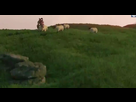 https://image.noelshack.com/fichiers/2014/33/1407924436-monture-mouton.png