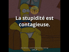 https://image.noelshack.com/fichiers/2014/33/1407962442-10547700-659922420793579-818797318424452773-n.jpg