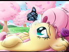 https://image.noelshack.com/fichiers/2014/33/1408005285-flutterfly-by-bugplayer-d7um8qt.jpg