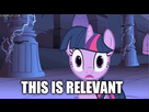 https://image.noelshack.com/fichiers/2014/33/1408020488-mlfw1126-my-little-pony-friendship-is-magic-brony-im-with-twilight-on-this-one.gif