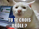 https://image.noelshack.com/fichiers/2014/34/1408657057-1010210-299765413507271-447827242-n.jpg