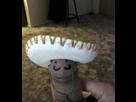 https://image.noelshack.com/fichiers/2014/34/1408666083-tumblr-mym5wrqe8h1r539hzo1-500.jpg