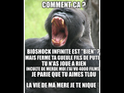 https://image.noelshack.com/fichiers/2014/34/1408669182-dog1.jpg