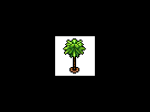 https://image.noelshack.com/fichiers/2014/34/1408842384-shalimar-palm.gif