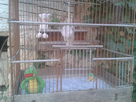 https://image.noelshack.com/fichiers/2014/35/1409079556-android-image-08-26-2014.jpg
