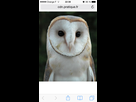https://image.noelshack.com/fichiers/2014/35/1409140813-iphone-image-08-27-2014.jpg