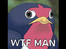 https://image.noelshack.com/fichiers/2014/35/1409158531-wtf-man.png
