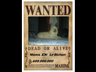 https://image.noelshack.com/fichiers/2014/35/1409257082-momo-wanted.jpg