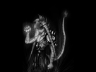 https://image.noelshack.com/fichiers/2014/36/1409663926-nostra2.jpg