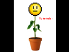https://image.noelshack.com/fichiers/2014/36/1409686855-1370095287-gsdfgfdgfhfghgfhghhghghg.png