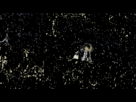 https://image.noelshack.com/fichiers/2014/36/1409731237-ixylm.gif