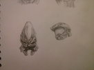 https://image.noelshack.com/fichiers/2014/36/1409948498-img-20140905-000658.jpg
