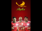 https://image.noelshack.com/fichiers/2014/37/1410295985-pantera-benfica-emulact-vfinal.png