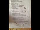 https://image.noelshack.com/fichiers/2014/37/1410711071-iphone-image-09-14-2014.jpg