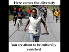 https://image.noelshack.com/fichiers/2014/38/1411040486-diversity-is-coming.jpg