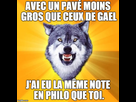 https://image.noelshack.com/fichiers/2014/39/1411646533-courage-wolf-philo.jpg