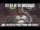 https://image.noelshack.com/fichiers/2014/39/1411647985-serious-blacksad-tail-s-porn.jpg