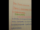 https://image.noelshack.com/fichiers/2014/39/1411805078-20140927-100517.jpg