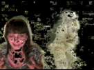 https://image.noelshack.com/fichiers/2014/39/1411846416-570883623.gif