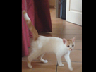 https://image.noelshack.com/fichiers/2014/40/1412506847-iphone-image-10-05-2014.jpg