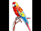 https://image.noelshack.com/fichiers/2014/41/1412877688-sketchperroquet2.png