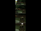 https://image.noelshack.com/fichiers/2014/41/1413019990-apocalypse-now-creature.png