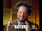 https://image.noelshack.com/fichiers/2014/43/1413994715-nature-meme-1.jpg