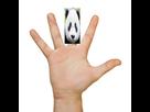 https://image.noelshack.com/fichiers/2014/43/1414256339-panda-majeur.jpg