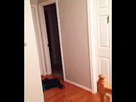 https://image.noelshack.com/fichiers/2014/43/1414359129-wasted2.gif