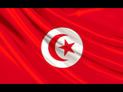 https://www.noelshack.com/2014-44-1414788021-drapeau-de-la-tunisie.jpg