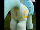 https://image.noelshack.com/fichiers/2014/44/1414871016-pony-hole.jpg