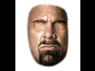 https://image.noelshack.com/fichiers/2014/45/1415057066-goldberg-face.png