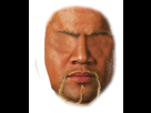 https://image.noelshack.com/fichiers/2014/45/1415060086-rikishi-face.png